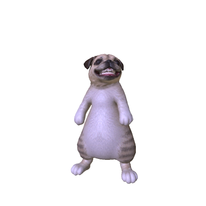 Smiling dog