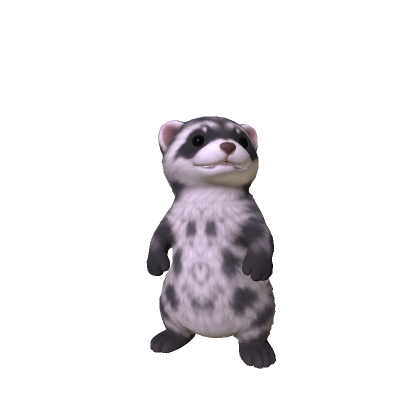 Mini Ferret