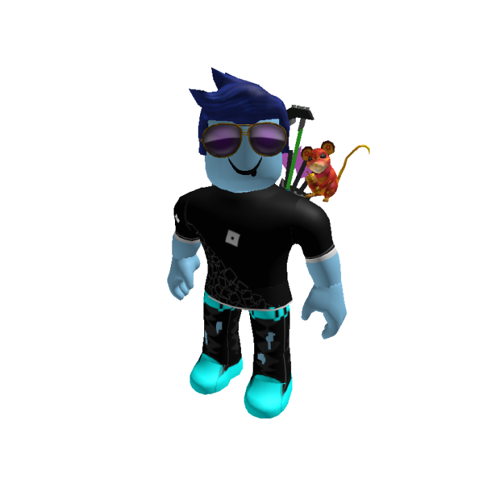 Roblox banner for @notnicot