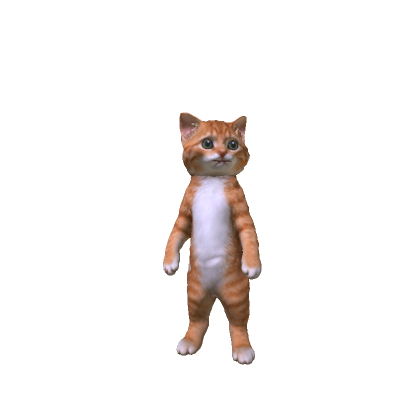 Orange Tabby Kitten