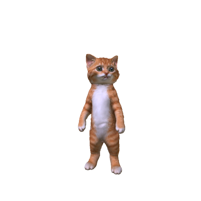 Orange Tabby Kitten