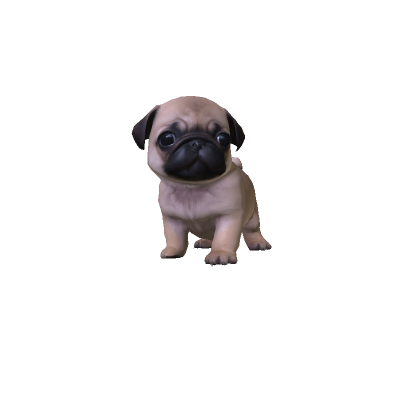 Mini Pug