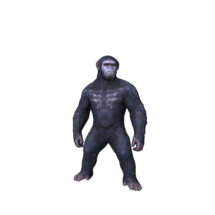 The Monkey