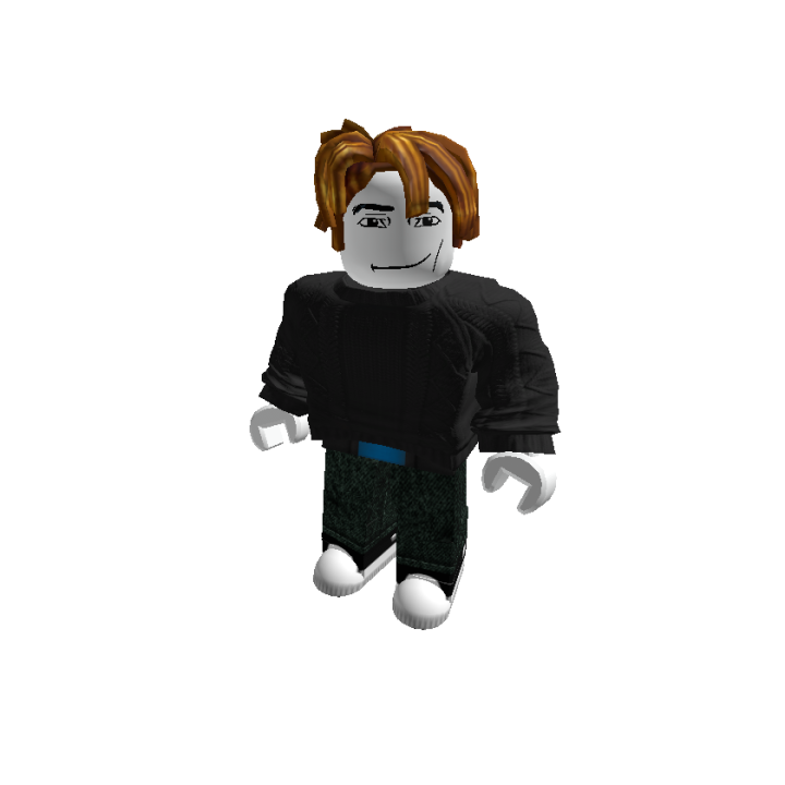 Roblox banner for @sunil_51