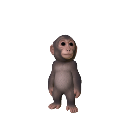 Monkey