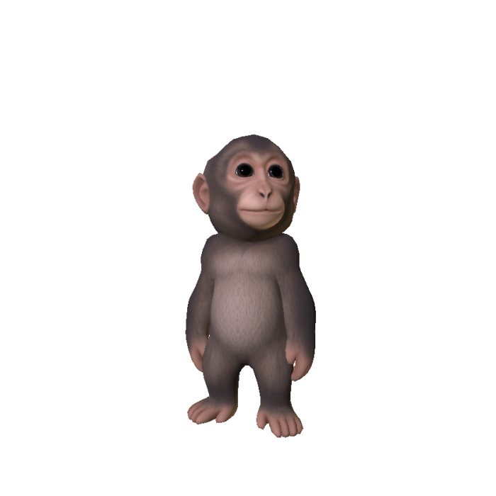 Monkey