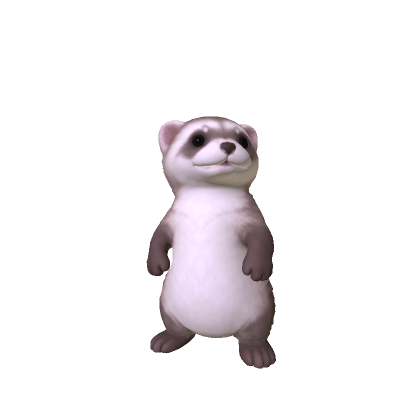 Mini Ferret