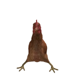 Nyxmon_2003s's avatar