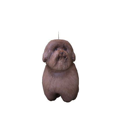SCOOBERT