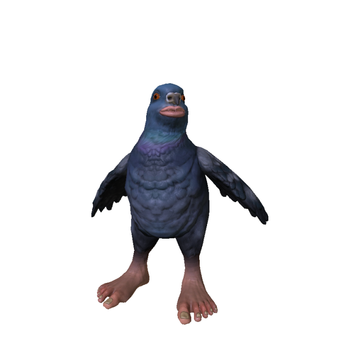 Pigeon Whispering Tiki Tiki