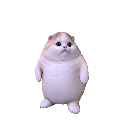 Big Fat Cat