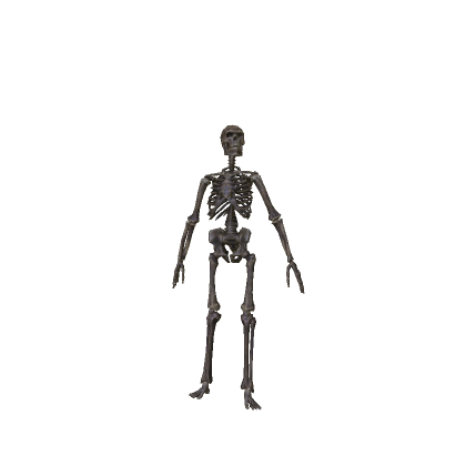Skeleton Sky