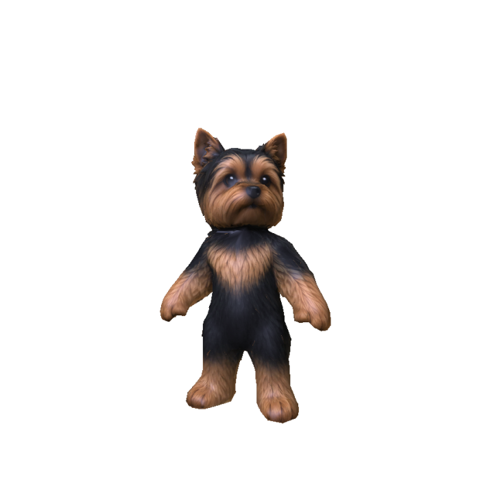 York Dog