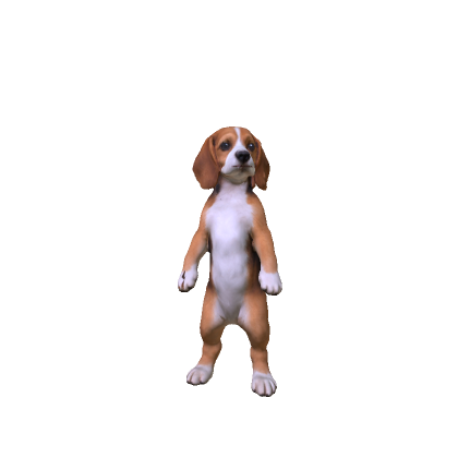 Beagle Puppy