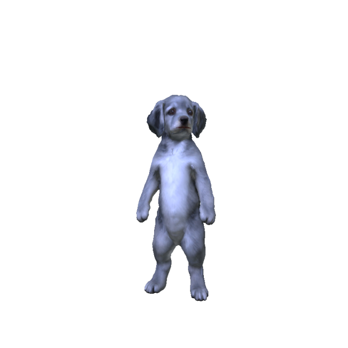 Grey Dog