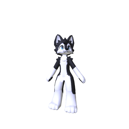 Cute Furry Husky Dog thumbnail