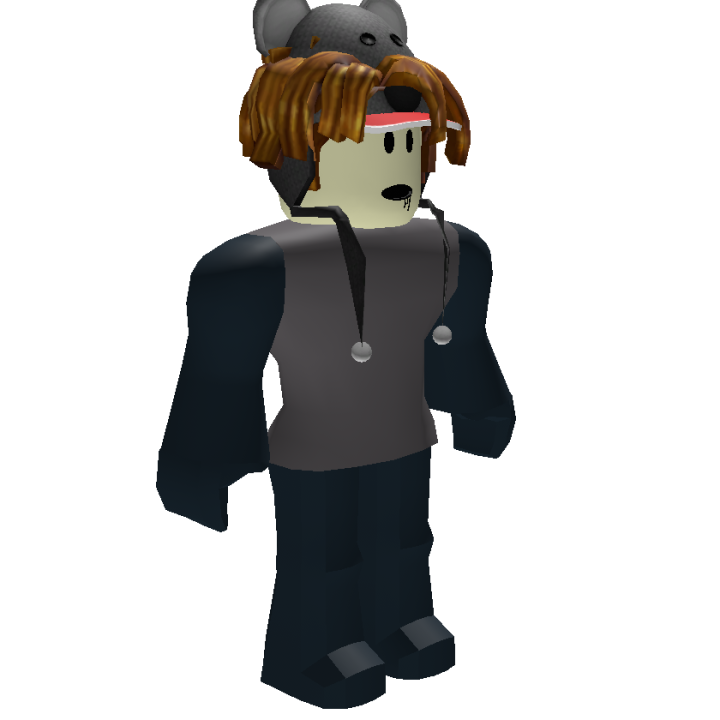 Roblox banner for @pal