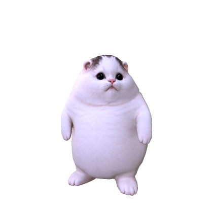 Big Fat Cat