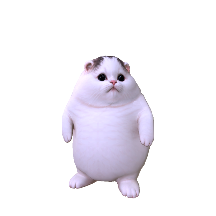 Big Fat Cat
