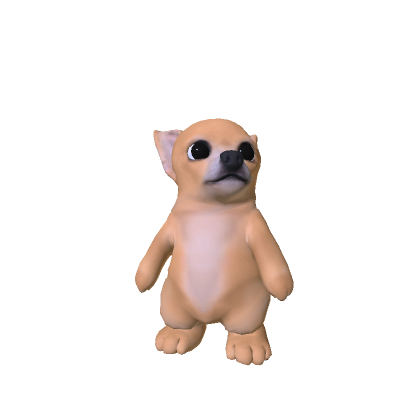 Cute Dog