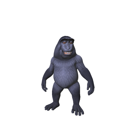 Little Smiling Monkey 🐵