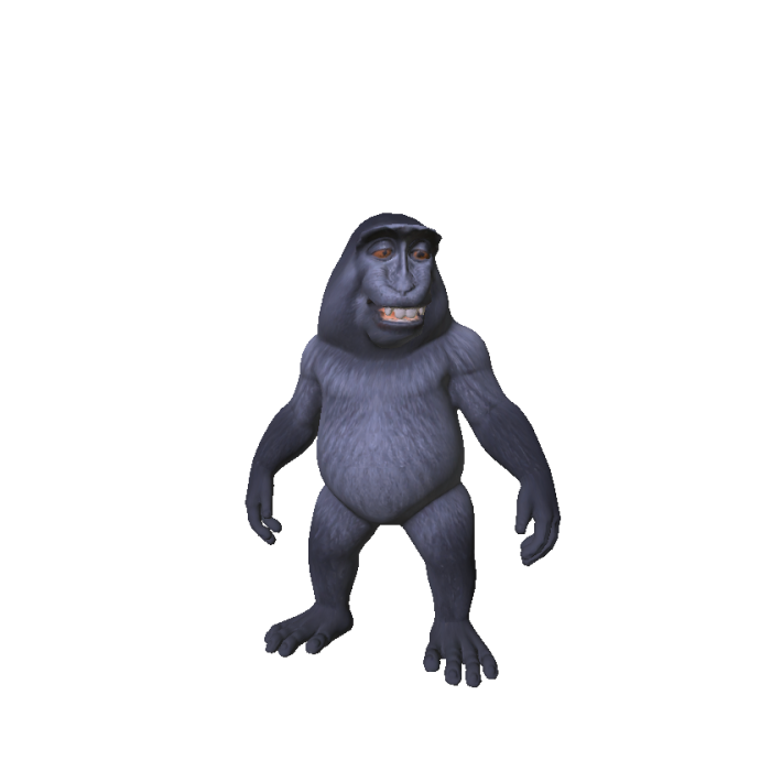 Little Smiling Monkey 🐵