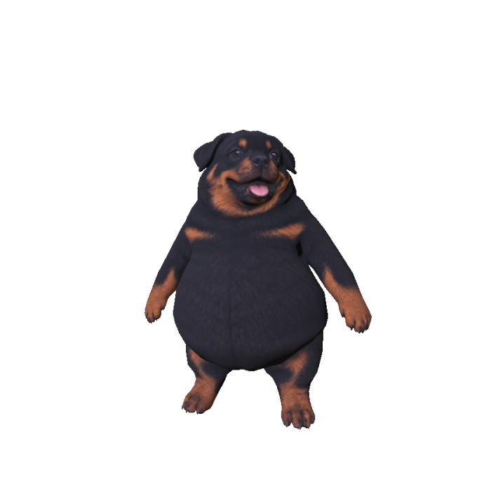 Rottweiler Dog