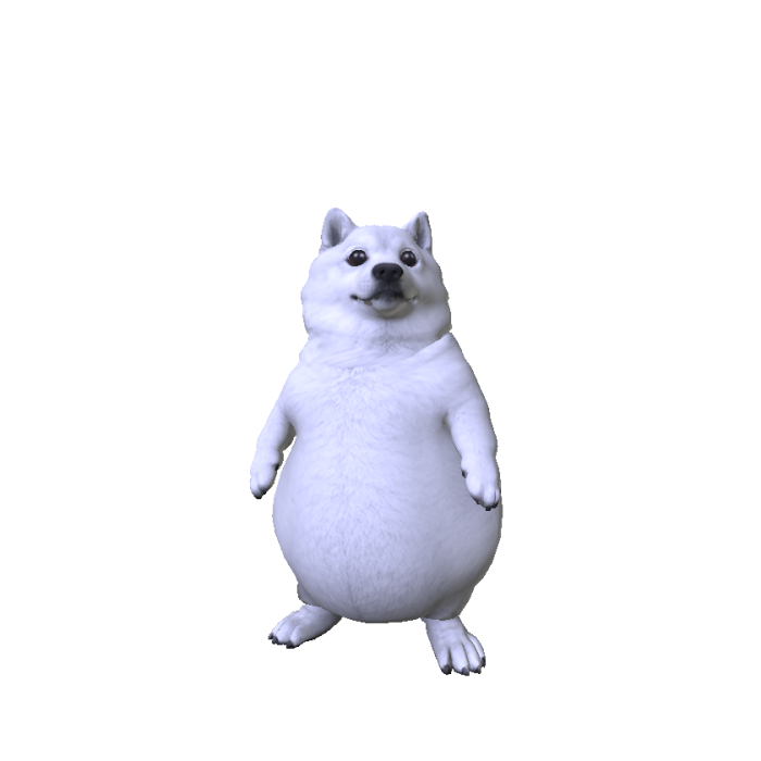Chubby Shiba