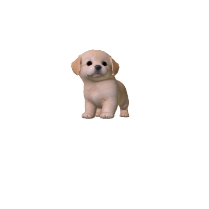 Mini Retriever Puppy