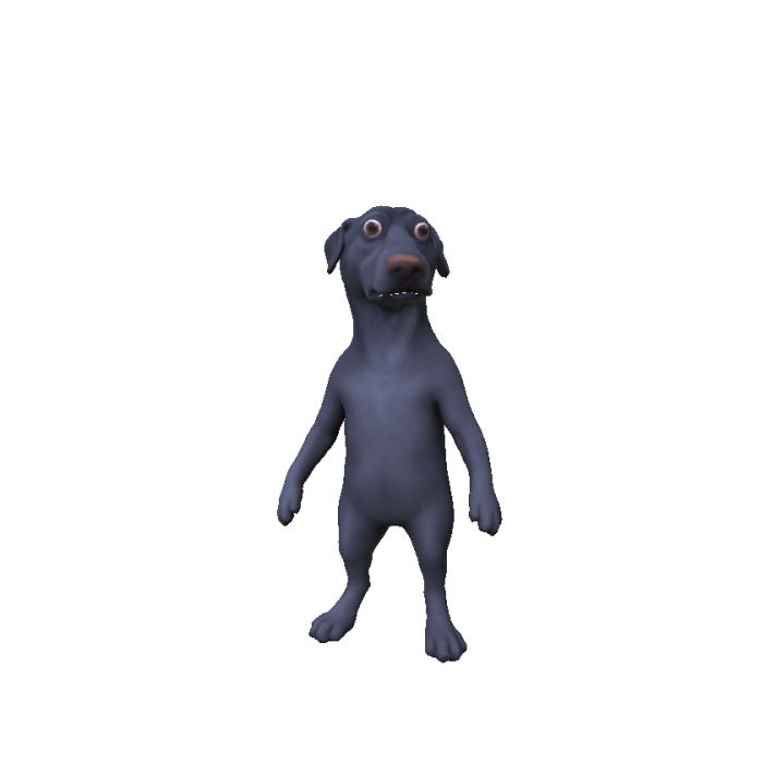 Nervous Scared Dog Body