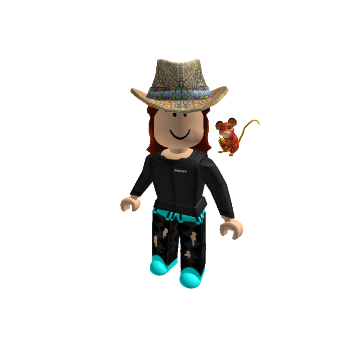 Roblox banner for @meialua6