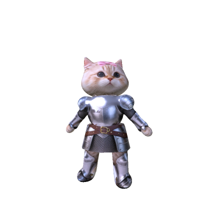 Kitten Knight