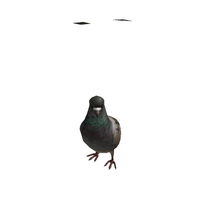 octag0nz's avatar