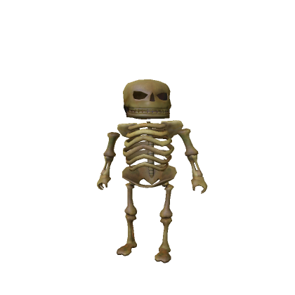 Skeleton