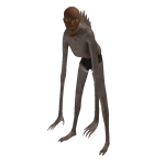 arvkkuzu's avatar