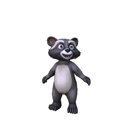 Cute Baby Racoon