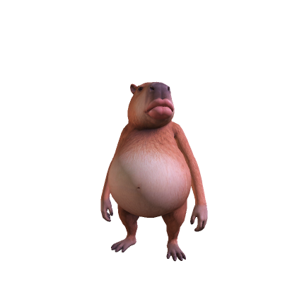 Funny Capybara