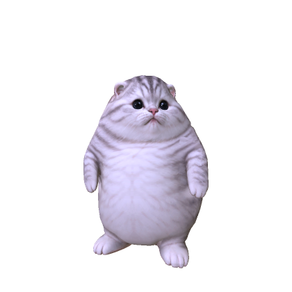 Big Fat Cat