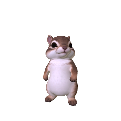 Cute Mini Chimpunk