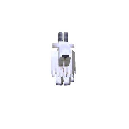 Mini Goat