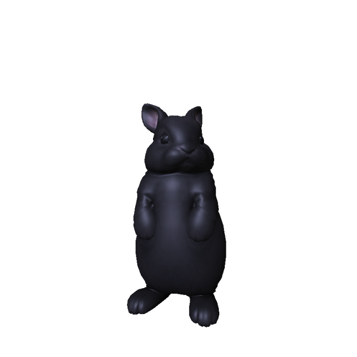 Cute Chubby Bunny