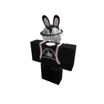 amiuglybefr | Roblox Inventory History - Rolimon's
