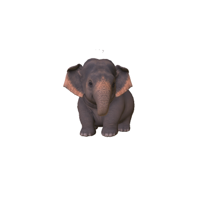Baby Elephant thumbnail
