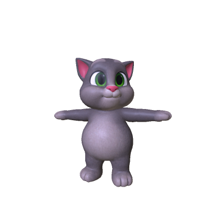 Cute Chubby Grey Tom Cat