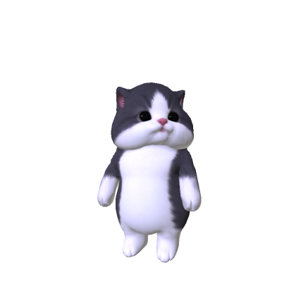 Chubby Cheeked Kitten
