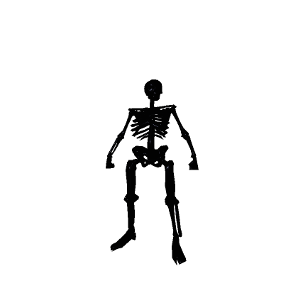 Black Shiny Skeleton