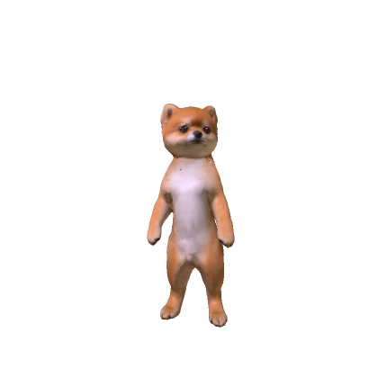 Pomeranian Puppy