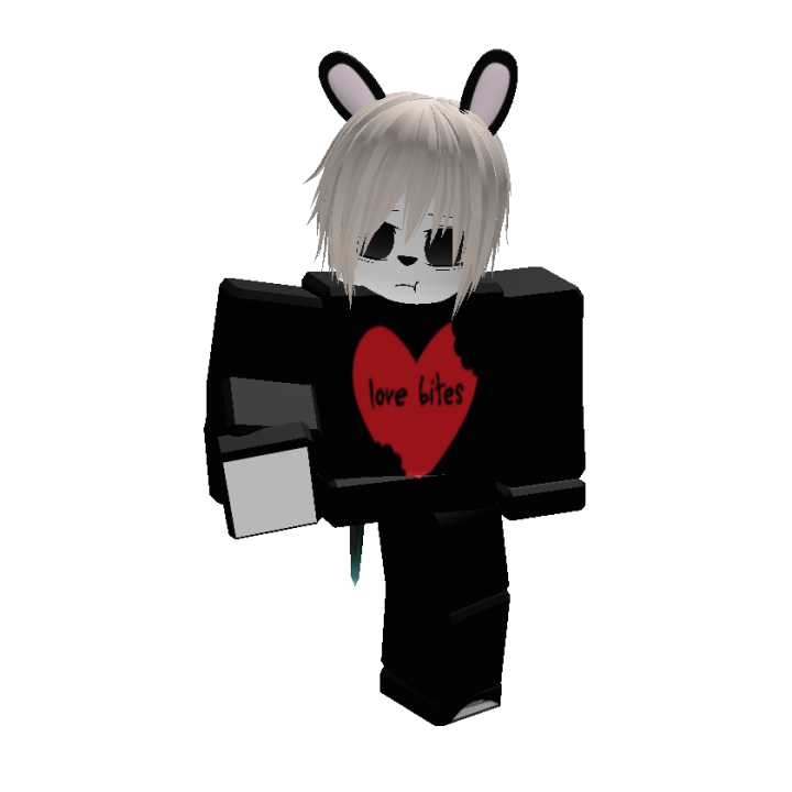 Roblox banner for @isr