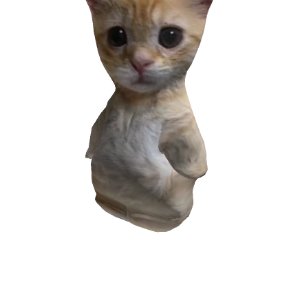 amba's avatar