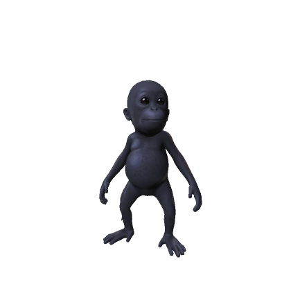 Baby Monkey Black